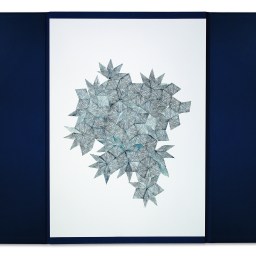 the little things that leap forth